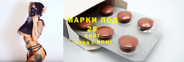 хмурый Абаза