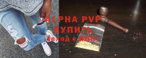 хмурый Абаза