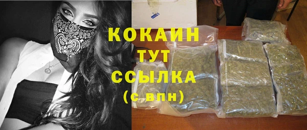 хмурый Абаза