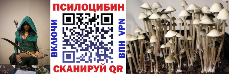 Псилоцибиновые грибы прущие грибы  Октябрьский 